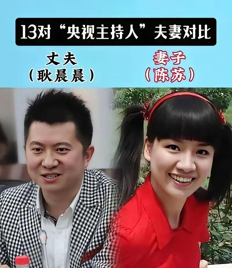 深扒了康辉、白岩松的婚姻后，我脊背发凉：原来最稳固的关系，都藏在三个“反常识”的