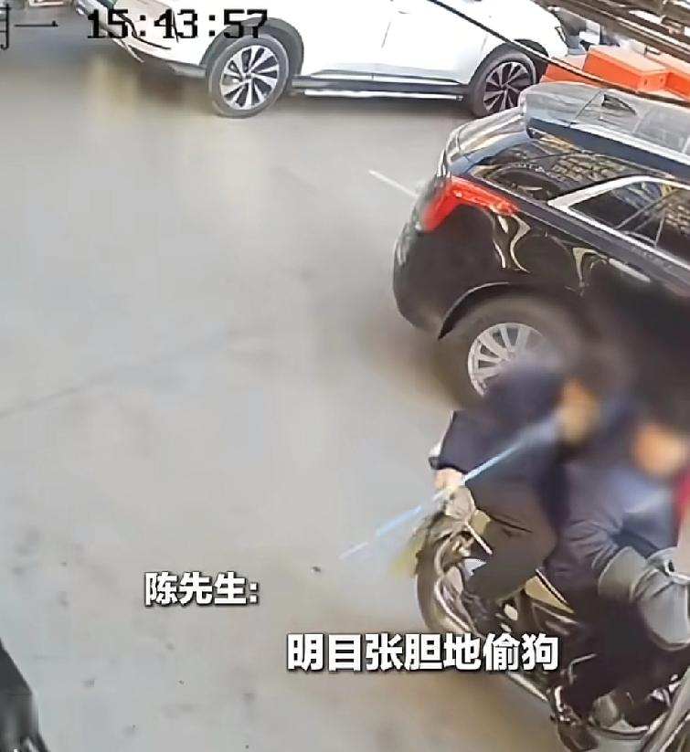 光天化日，直接做这种丑陋的事情内蒙古包头一人骑着摩托车，带着另外一名伙伴直接去