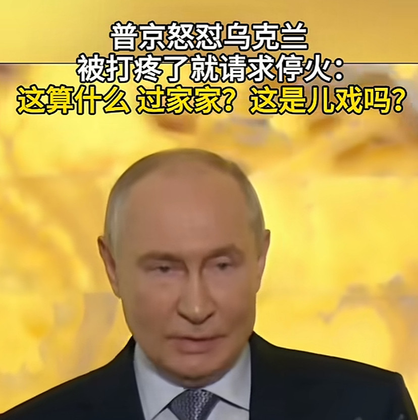 普京怒怼二毛，他说：一把你们打疼了，就苦苦哀求停火，这算什么事，过家家吗，把战争当儿戏！评：说不成一