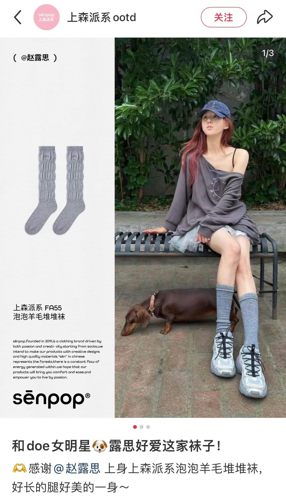 姑侄在此相遇：