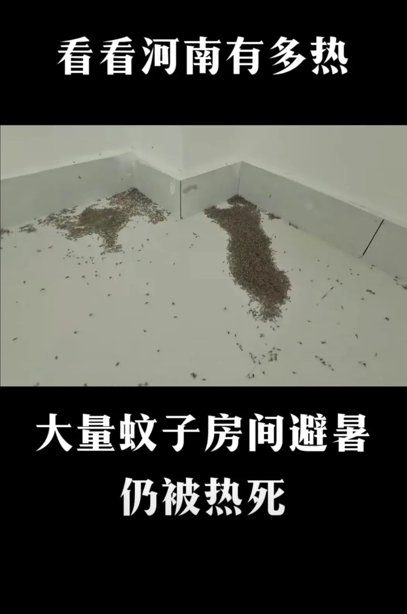 一个坏消息:河南近日高温，尽量减少外出，被热死的一直有报道。一个好消息:蚊子在
