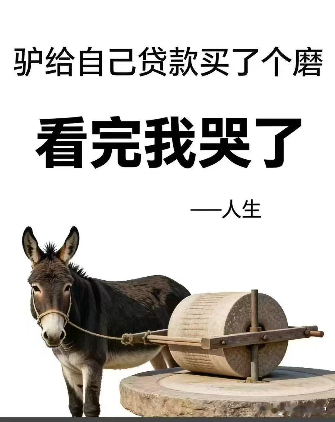 这漫画能让你看哭吗？漫画