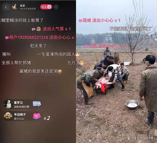 “9万人在线等吃肉！”合川这场杀猪宴，吃的是饭，暖的是心！真没想到，合川姑娘