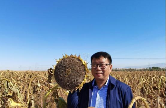 我国工程界大乌龙事件！2009年，重庆大学教授易志坚在研究物质力学时，意外发现了