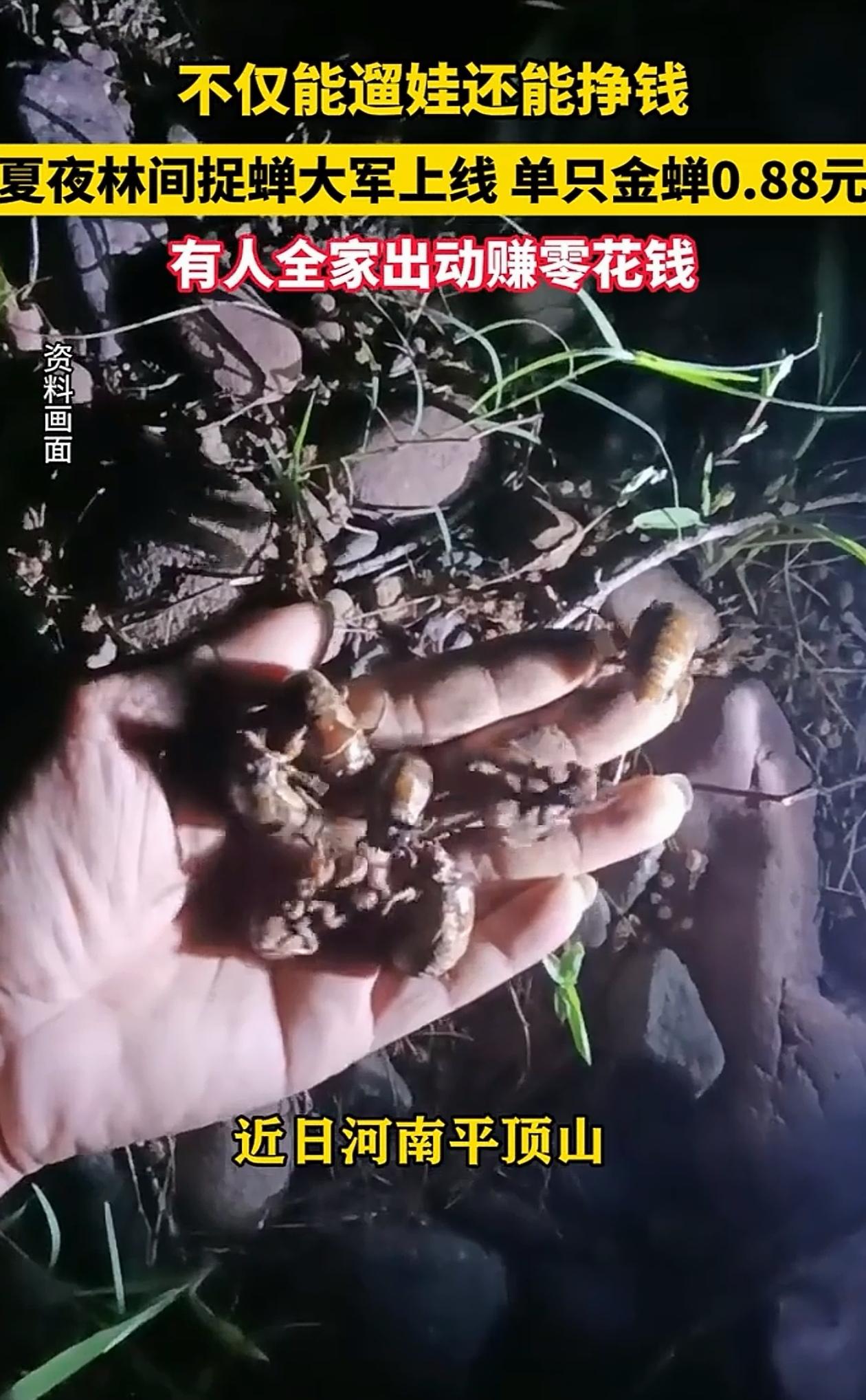 一举两得！河南平顶山，孩子在家总吵着要出去玩，家长灵机一动，大晚上准备好手电筒，