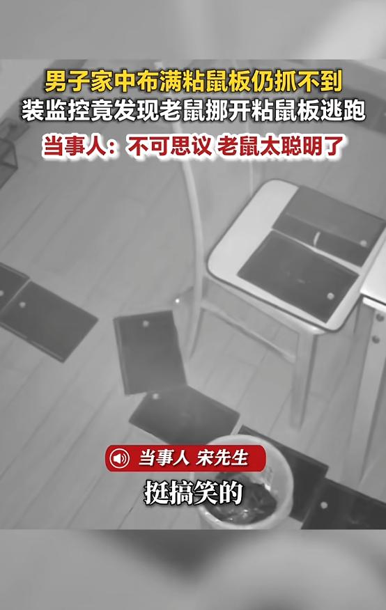 “万万没想到！”近日，安徽马鞍山，一男子见家里有老鼠，就买了许多粘鼠板放在家里各