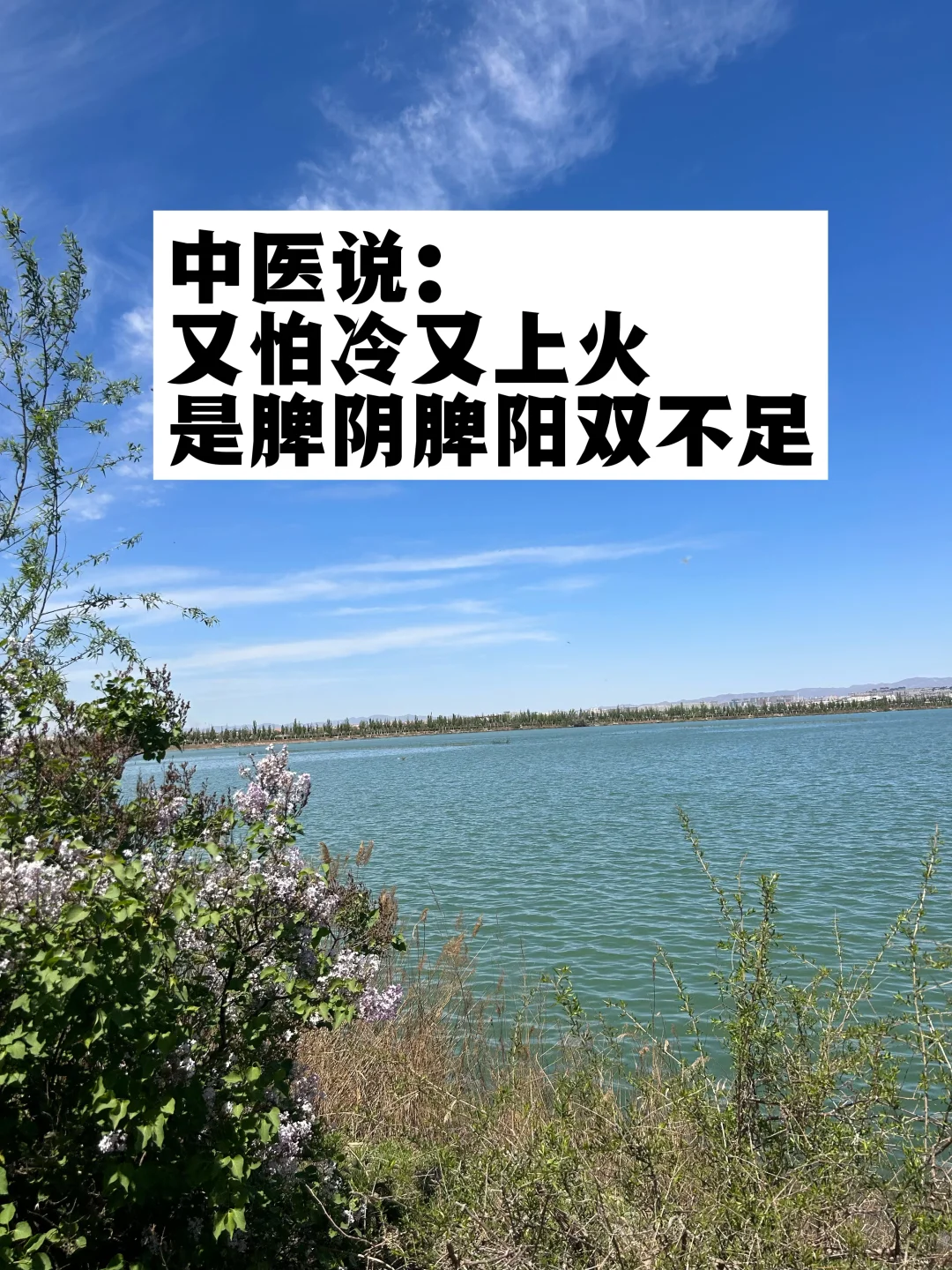 又怕冷又上火，是脾阴脾阳双不足.