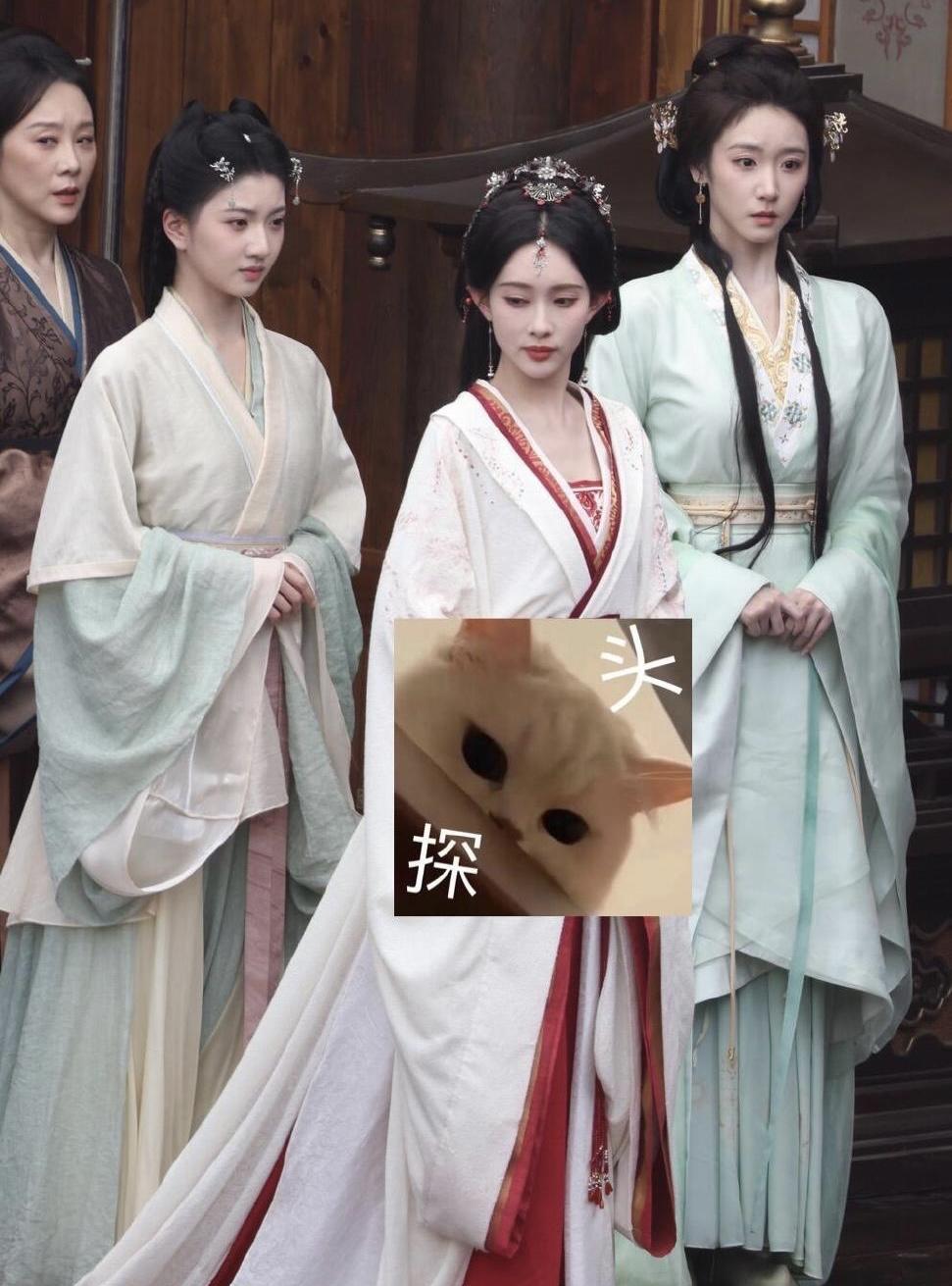 娱乐圈要有新人了，好漂亮，有点像年轻时候的景甜