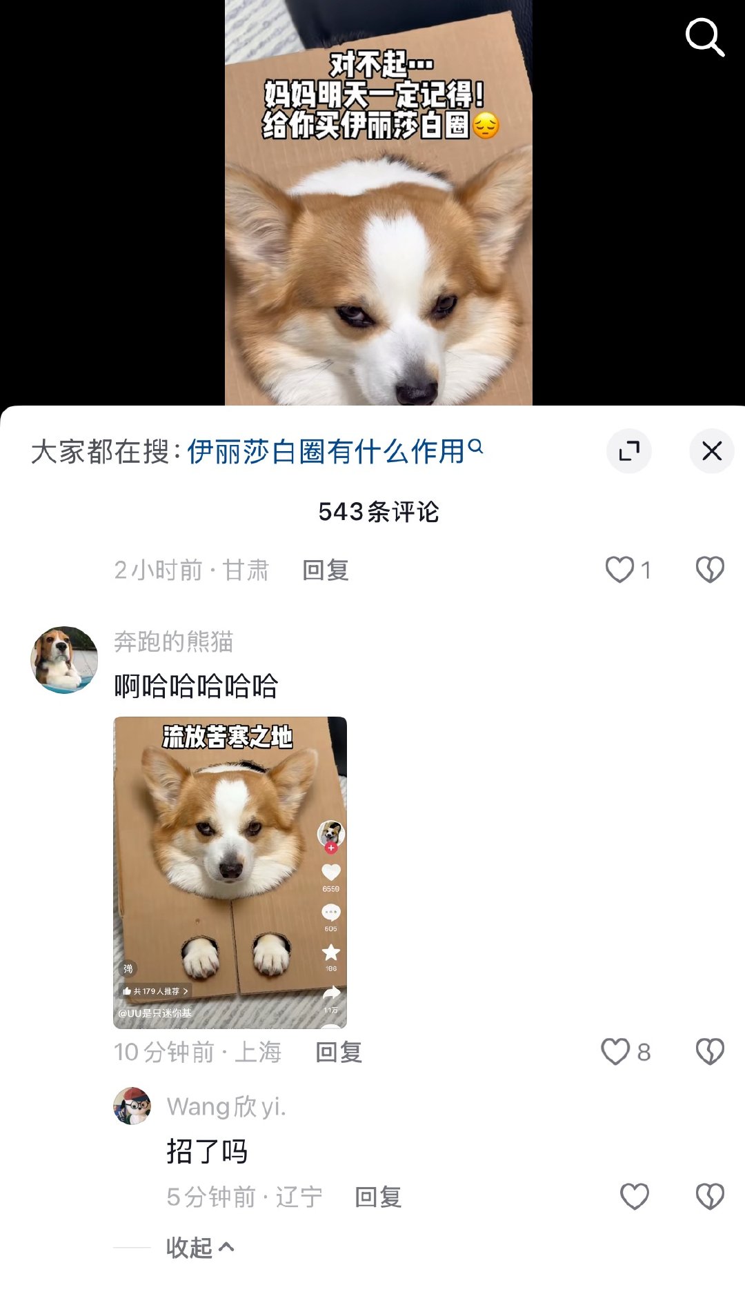 下一秒拉去菜市场