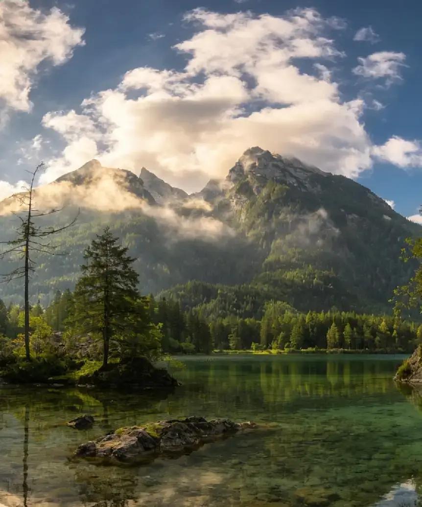 人过四十五才懂：攥不住的浮华，抵不过无病无痛的健康医生曾坦言，本能的冲动比寿命