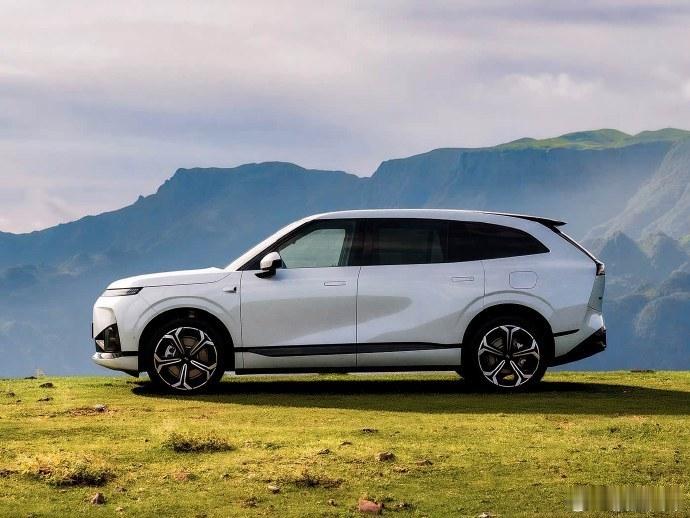 该车定位中大型五座SUV，提供纯电、增程两种动力版本，全系标配800V超快充技术