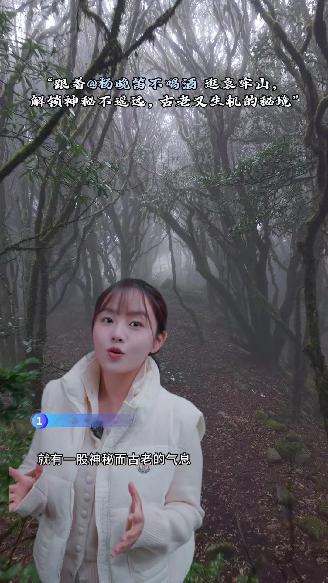 🌿哀牢山光是念出名字，就有股神秘古老的气息。它横亘在云南中部，山脊常被云雾笼罩