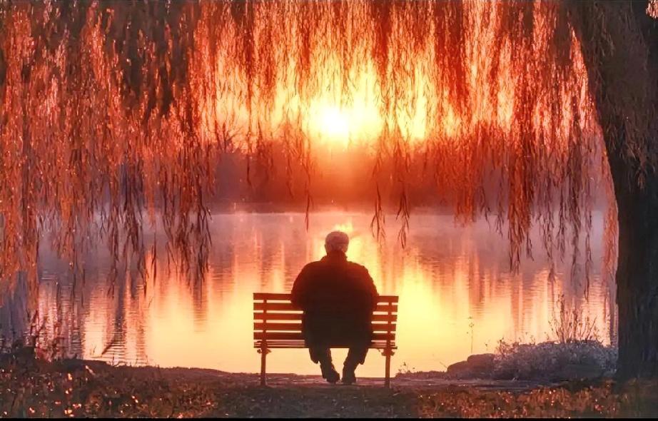 他80岁，得的是胃癌，查出来时已经是晚期。他预感到这次住院手术，会有太多的不确