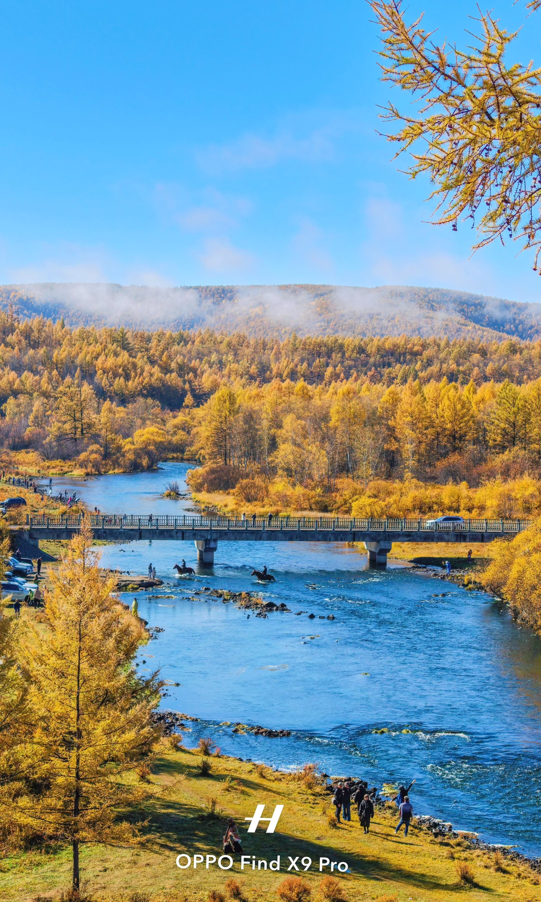用2亿像素拍秋天，看看大兴安岭全屏都是震撼