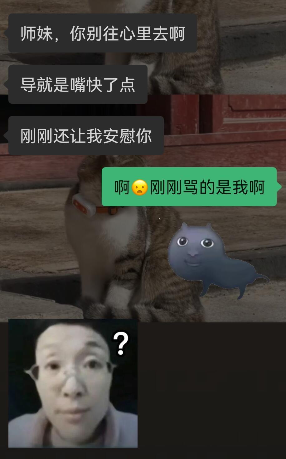 被安慰的时候才知道被骂的是自己谁说读研的时候钝感力不是一种福报​​​