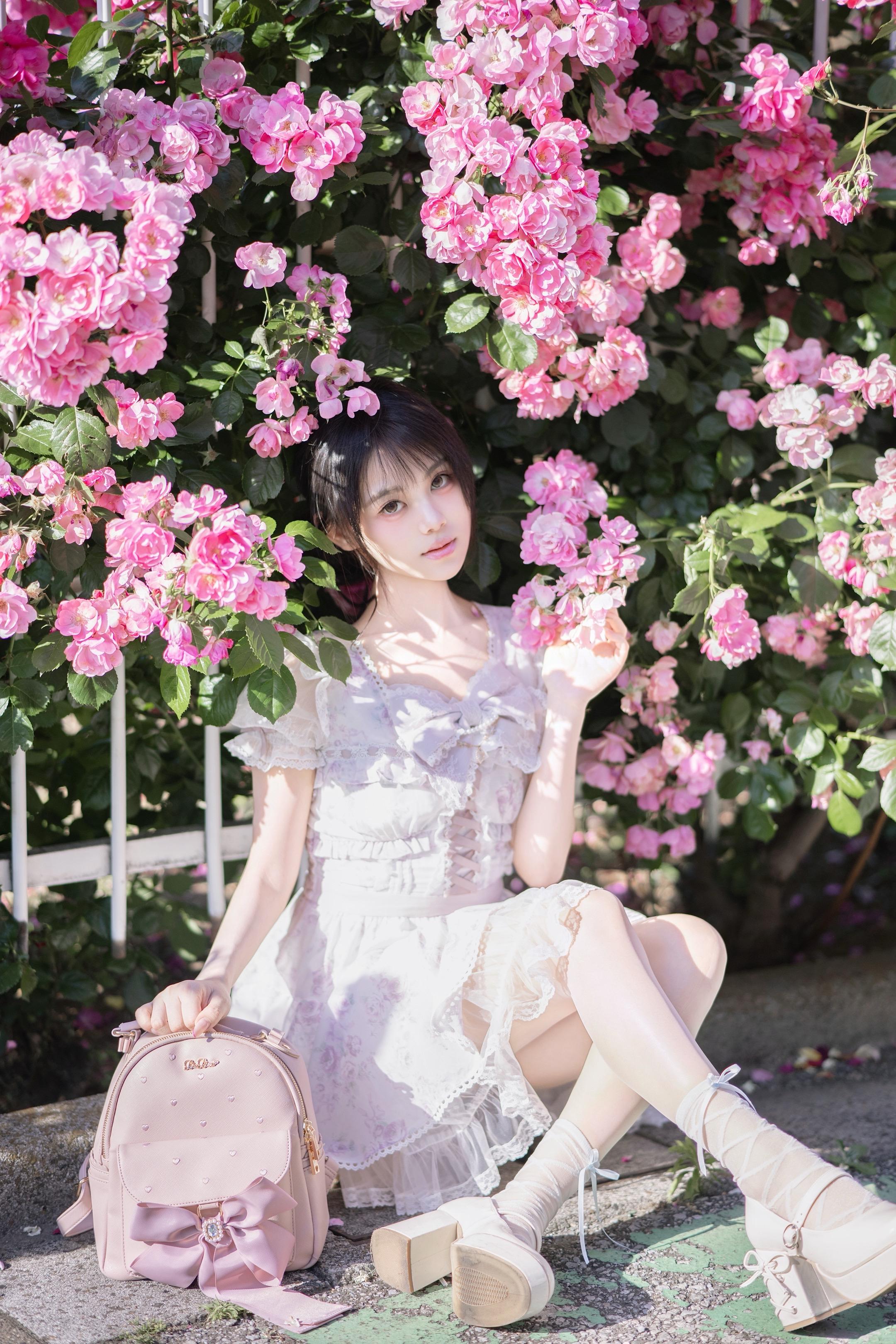 蔷薇少女。