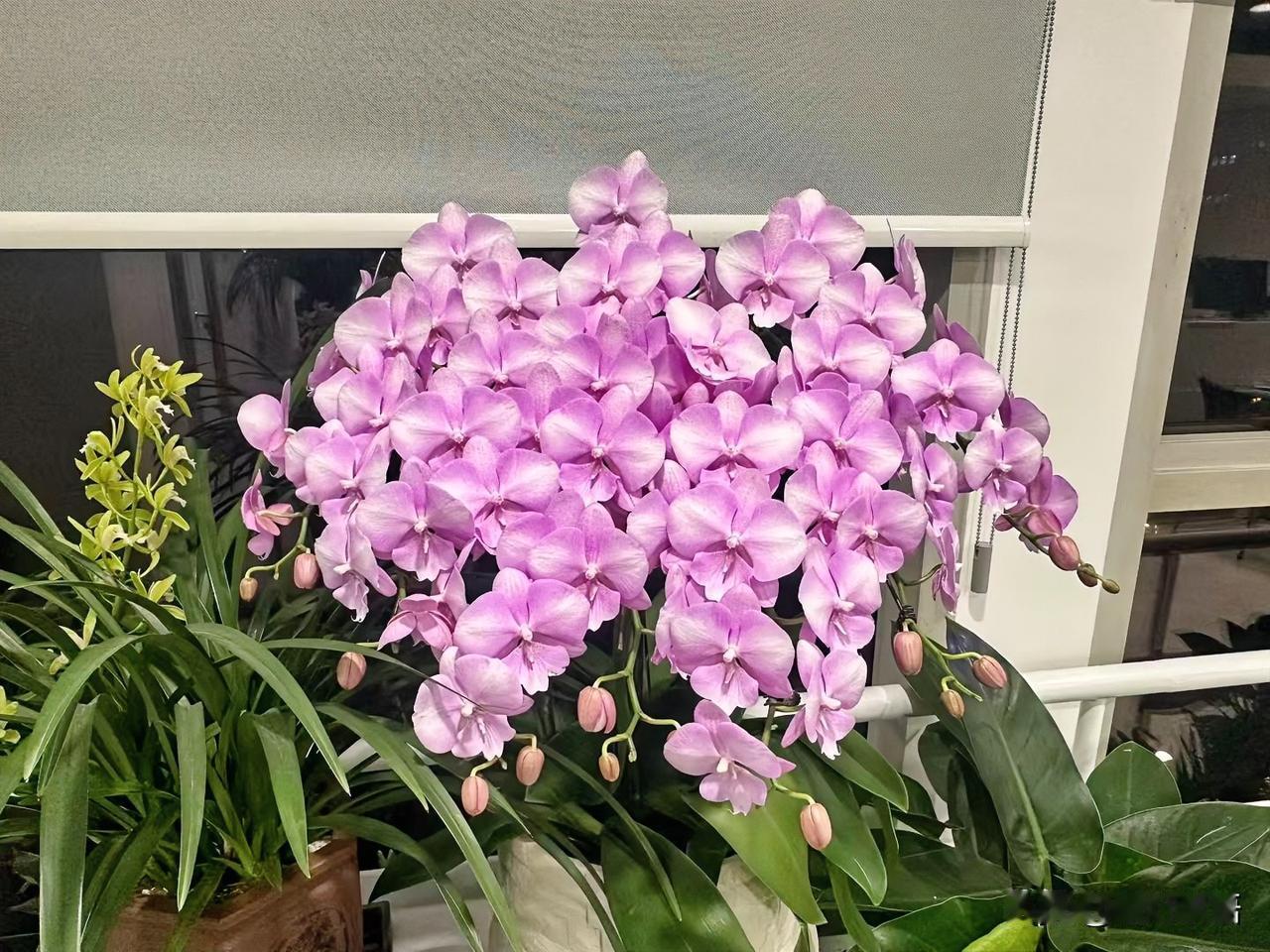 一位说话很准的老人说：一个女人要是说话、做事干脆利落，走路风风火火的，多半这