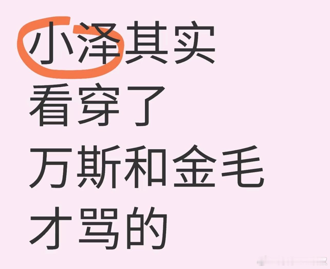 国际局势小白瞎逼逼两句：我觉得小泽骂万斯是因为看穿了他们，我是这么看的：起因：川