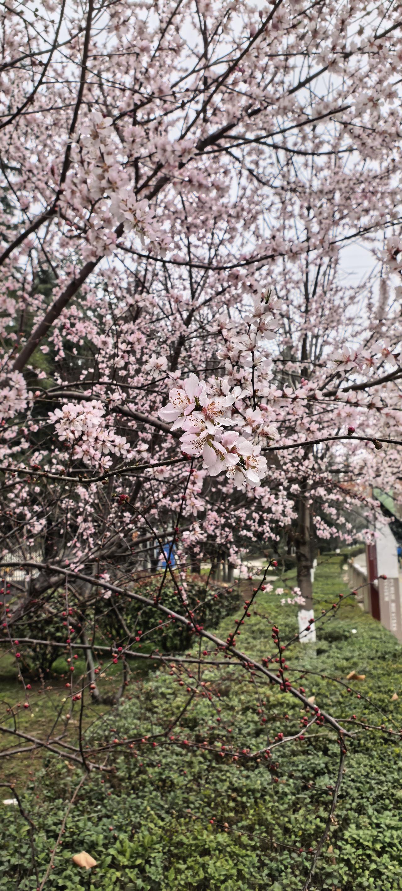 海外硕士毕业在西安拿4000元工资？有个朋友的表妹，广东某三本院校毕业后，去