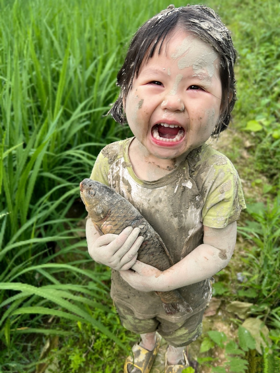 你们说小肉包这个表情包是哭还是笑呢？