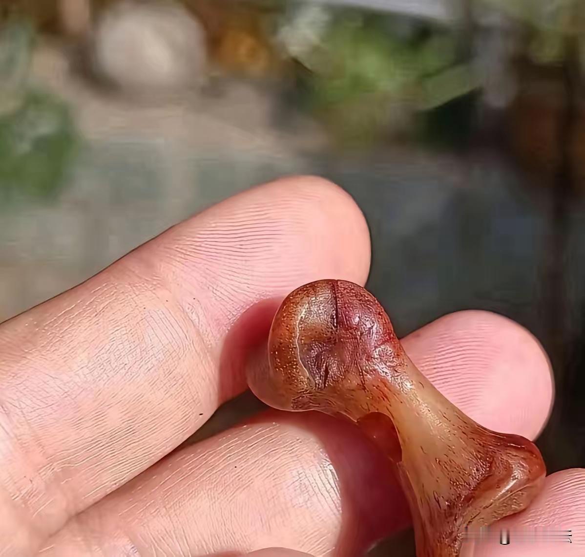 儿子书包里翻出块“鸡骨头”，红褐纹理+温润质感，老公瞅着直呼像玛瑙！赶紧跑古董