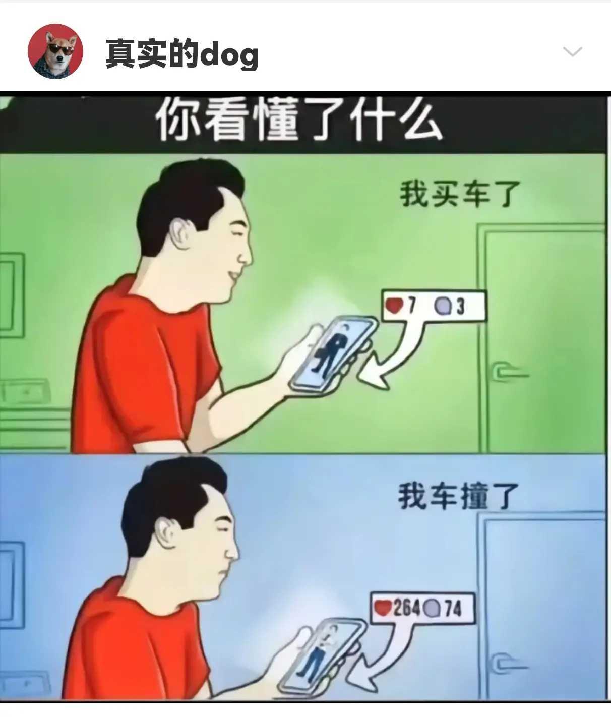 你看懂了什么