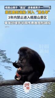 实在是大快人心，峨眉山景区这次干得的确到位！一男子在雷洞坪，故意去推一只正