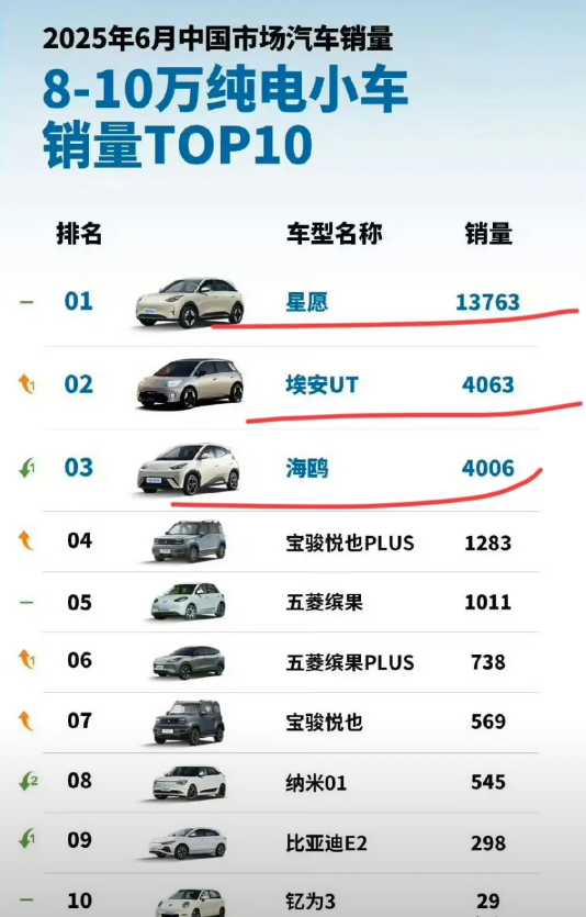 比亚迪海鸥：“这定语加得太棒了！不仅自己得第一，顺便还把我恶心了，一箭双雕！绝、