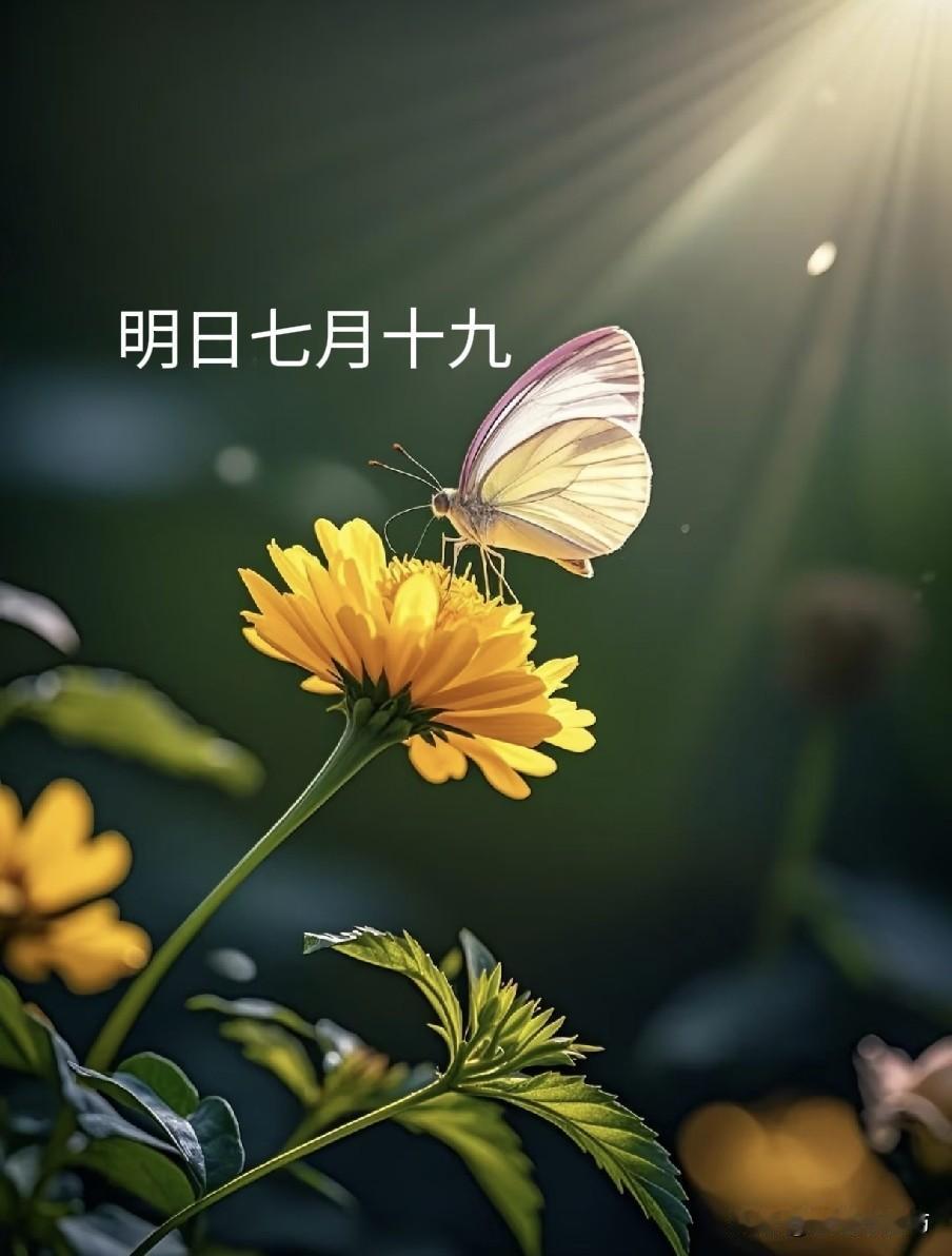 明日七月十九，记得：1不穿、2不去、3不做、4要忌明日农历七月十九，是中元