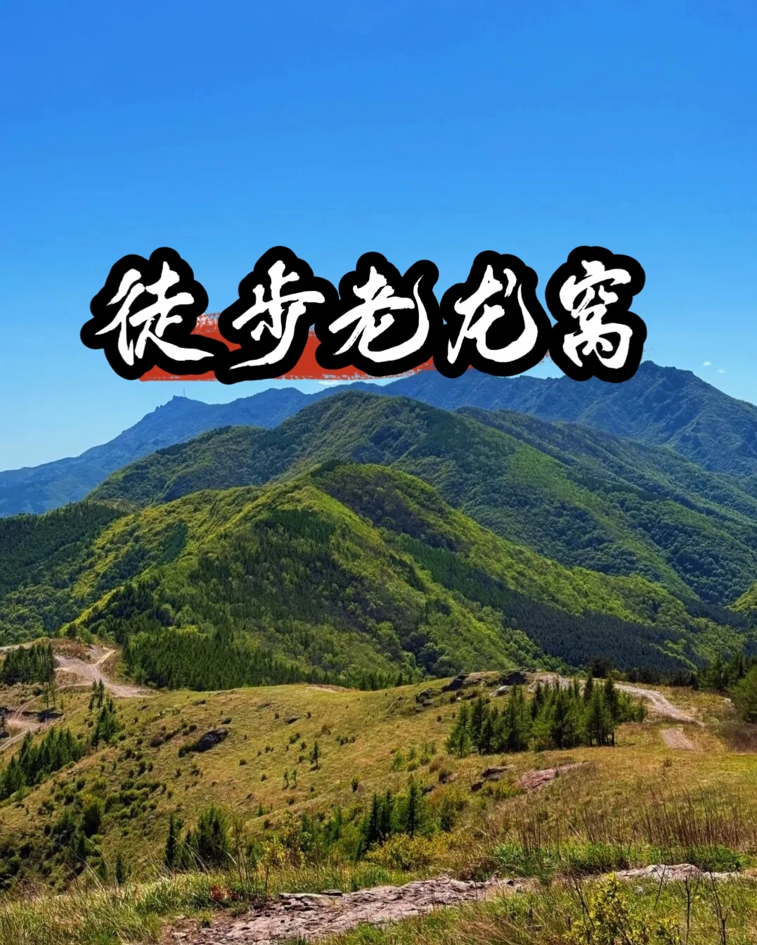 🌟京西门头沟小众徒步秘境✨老龙窝高山草甸🌿 	 松林阴凉+开阔高山...