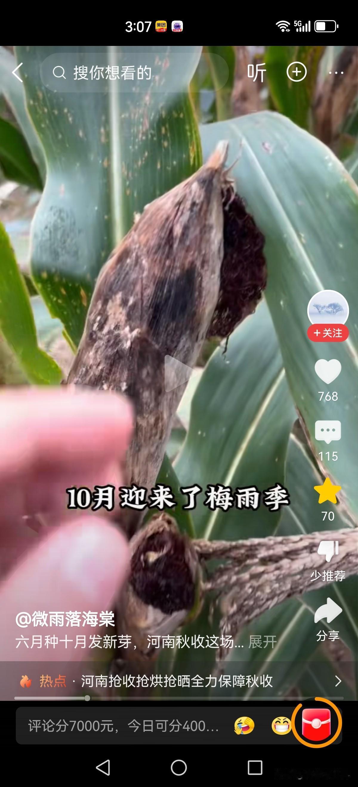 太苦情了！六七月份浇六七遍水的玉米，现如今被雨水泡在地里，基本上绝收了。善良