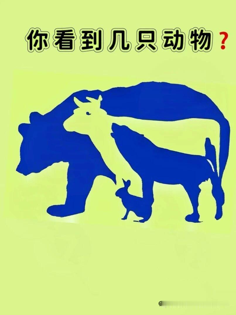 你看到了几只动物？