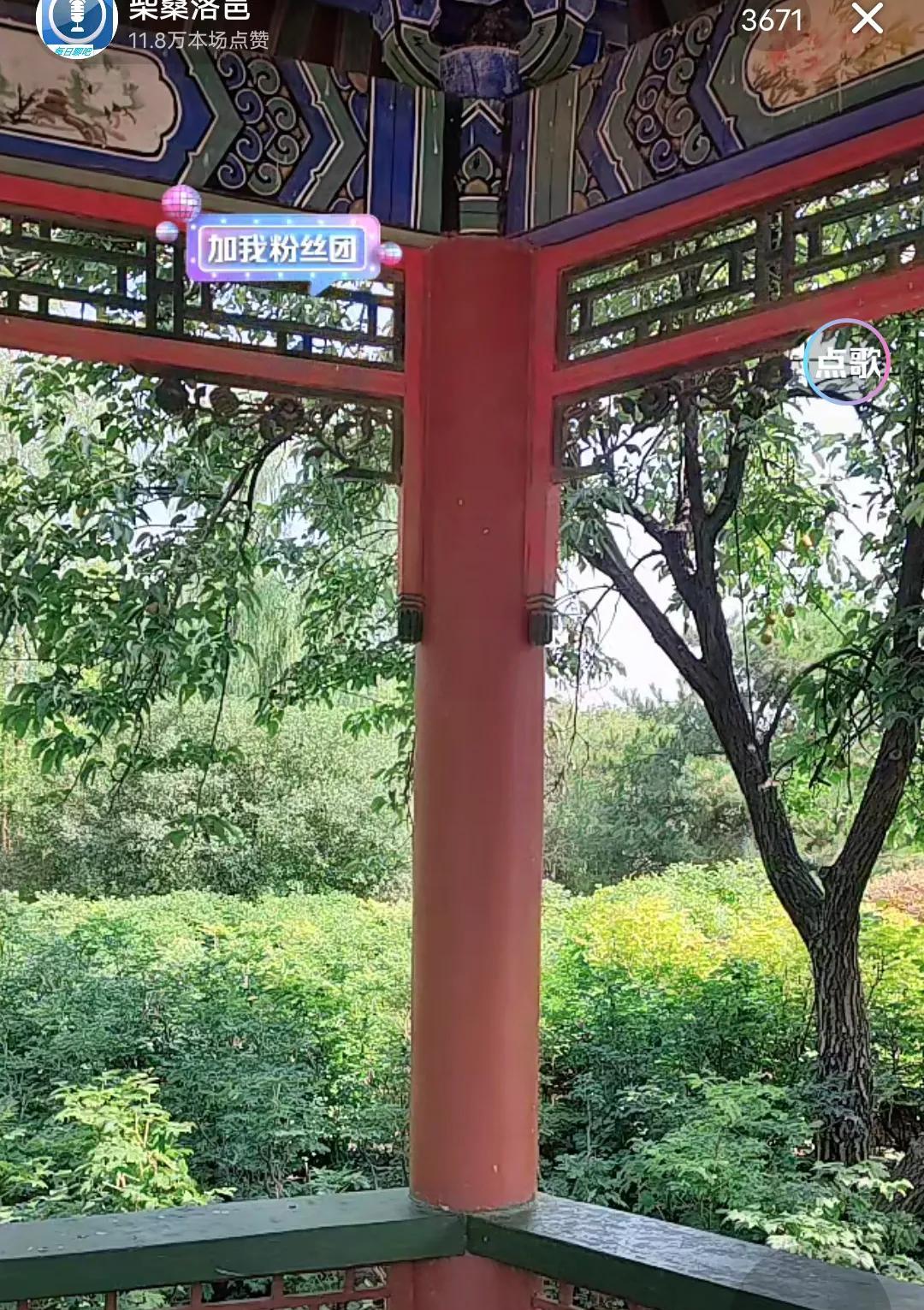 柴桑大姐讲到了开会那天，一行人都看见了，近在咫尺的千骨：当时挨着我，我看到了，