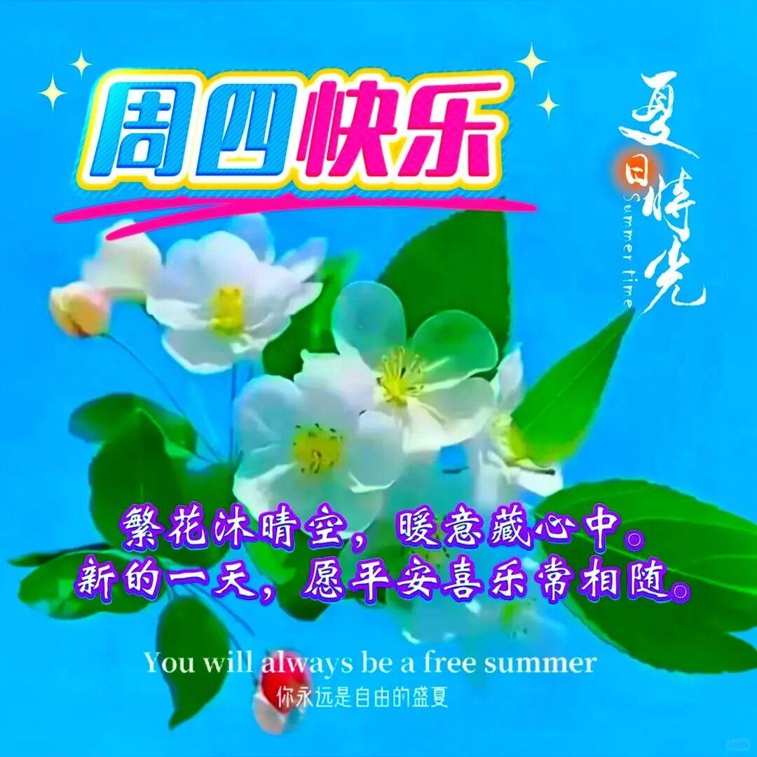 每个微笑😄，都是一份温馨的礼物🎁，每个问候🤗，都是一份真挚的情谊❤️。今天