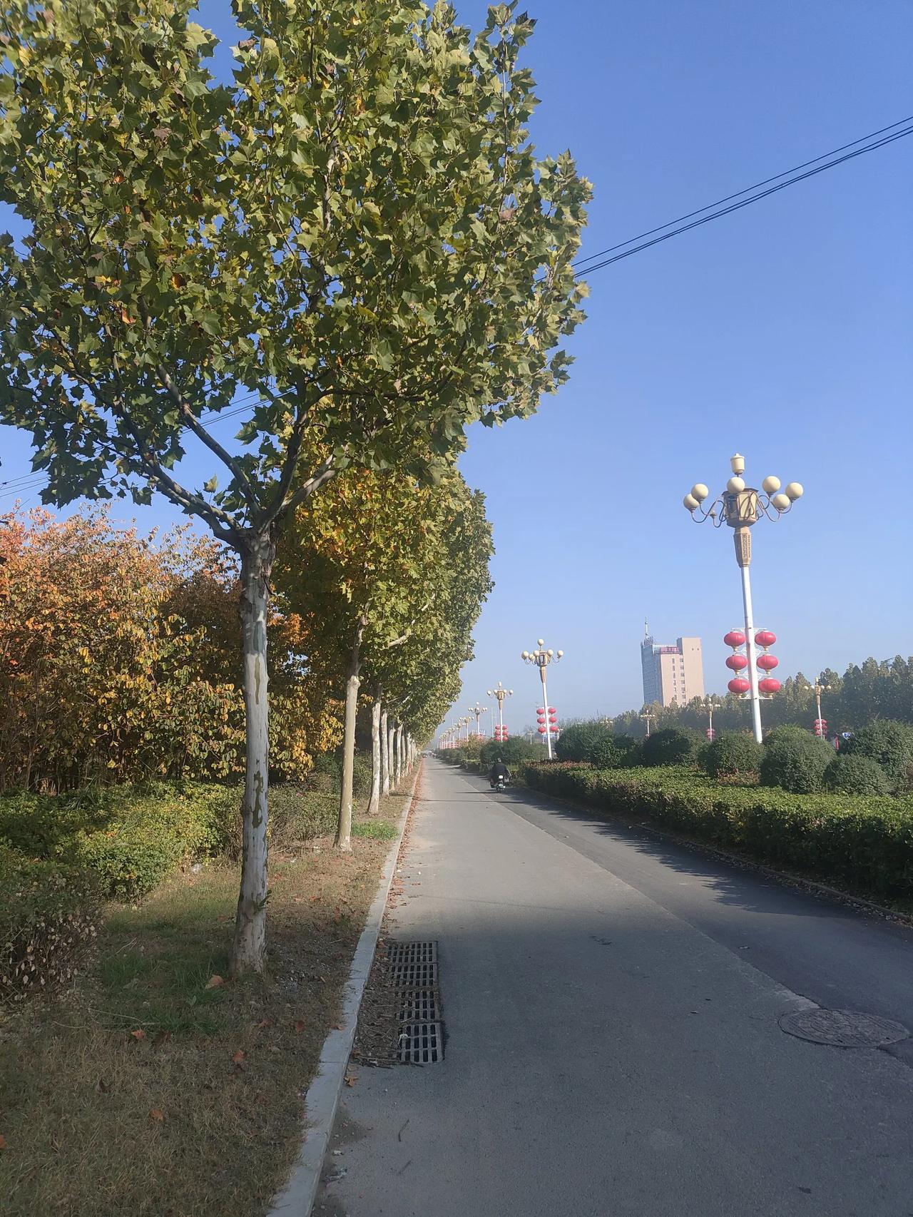 大学生取快递被判无期，为什么大学生总是上当受骗？他们长期以来社会经验匮乏，这确