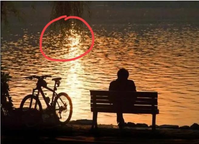 很扎心，都领悟这些道理后就老了！能否晋升不是靠能力；能否中标不是看实力；能否找到