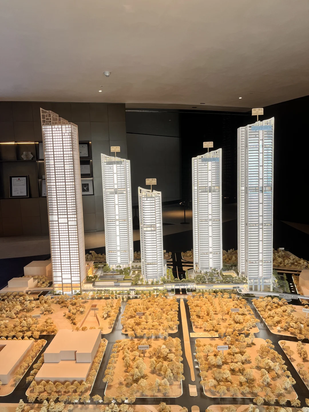 深圳湾沄玺要加推新房源了！202平又要被秒了