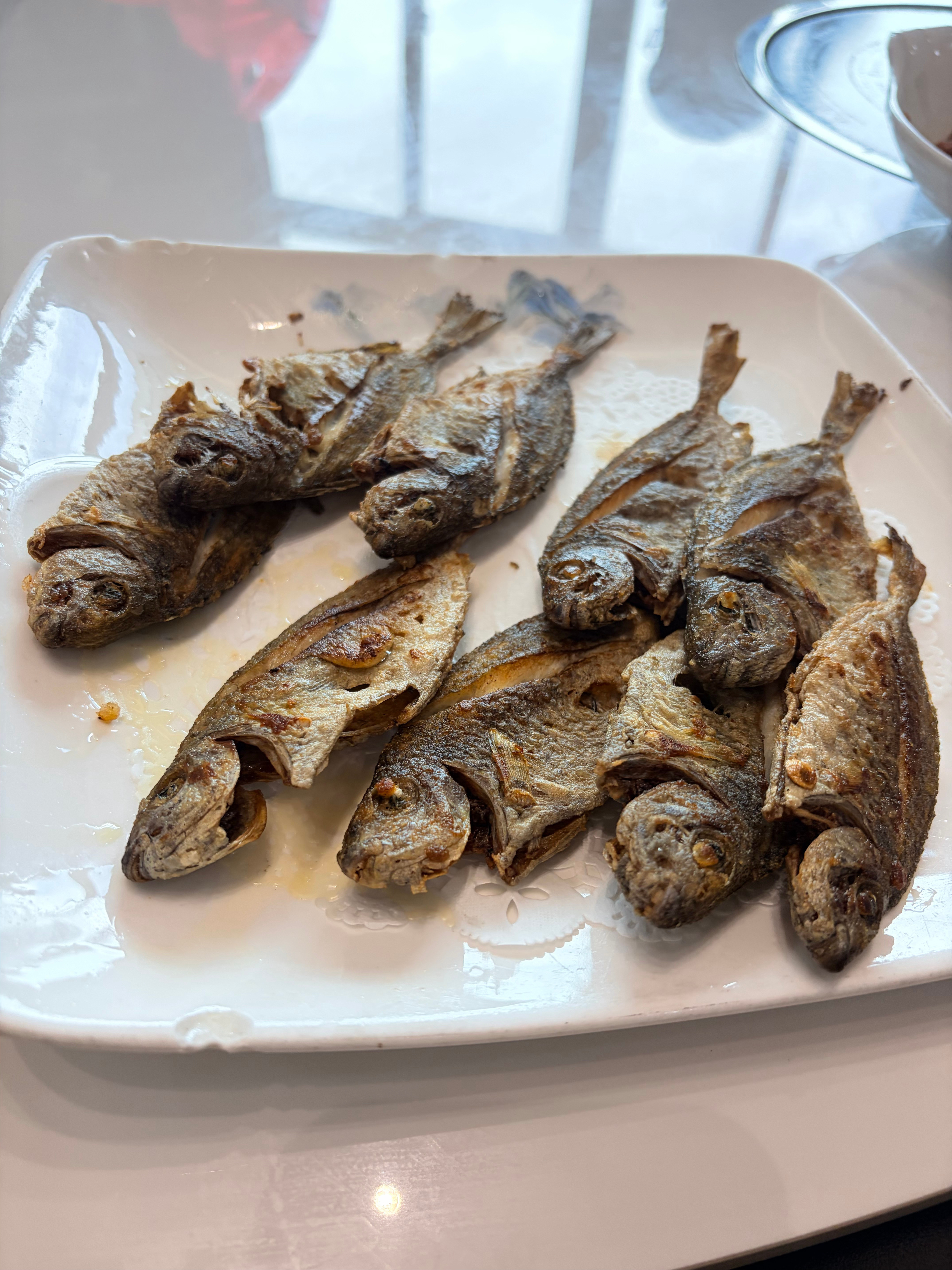 中午又来吃海鲜了🦞这几天都是吃海鲜，快上过了