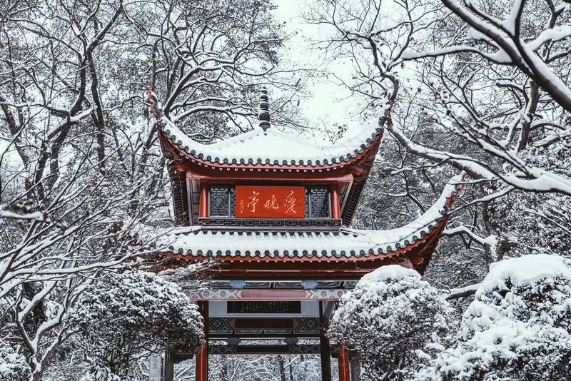 今年这雪下得太疯狂！11月5-6日，乌鲁木齐遭遇罕见特大暴雪，雨雪近30小时