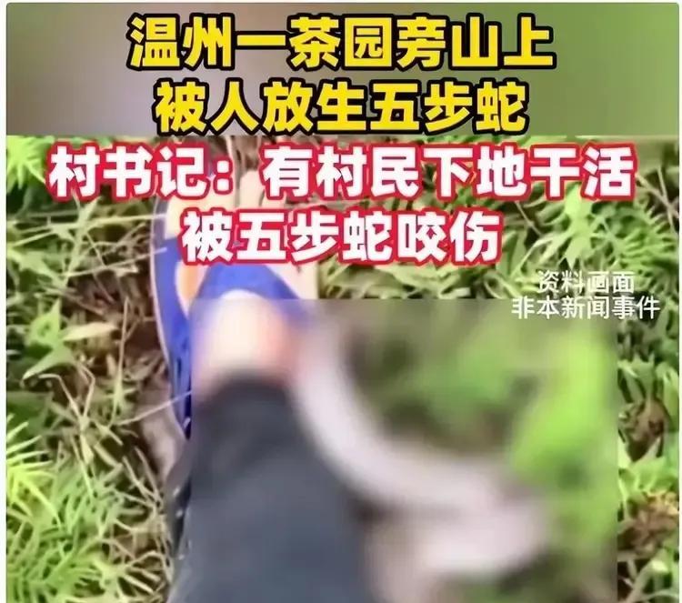 放生毒蛇应该按投毒罪判刑。近日，温州被爆出有外来人在茶山放毒蛇，而且还放生了两