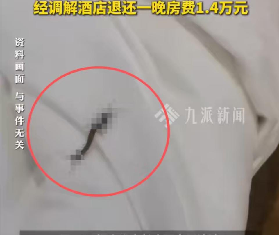 上海，网友入住了豪华度假酒店，一晚房费15300元，连续入住了3个晚上。最后一晚