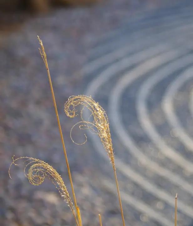 《了凡四训》阐述了一个至关重要的观点：命确实存在，却能够被改变。承认命运存在，这