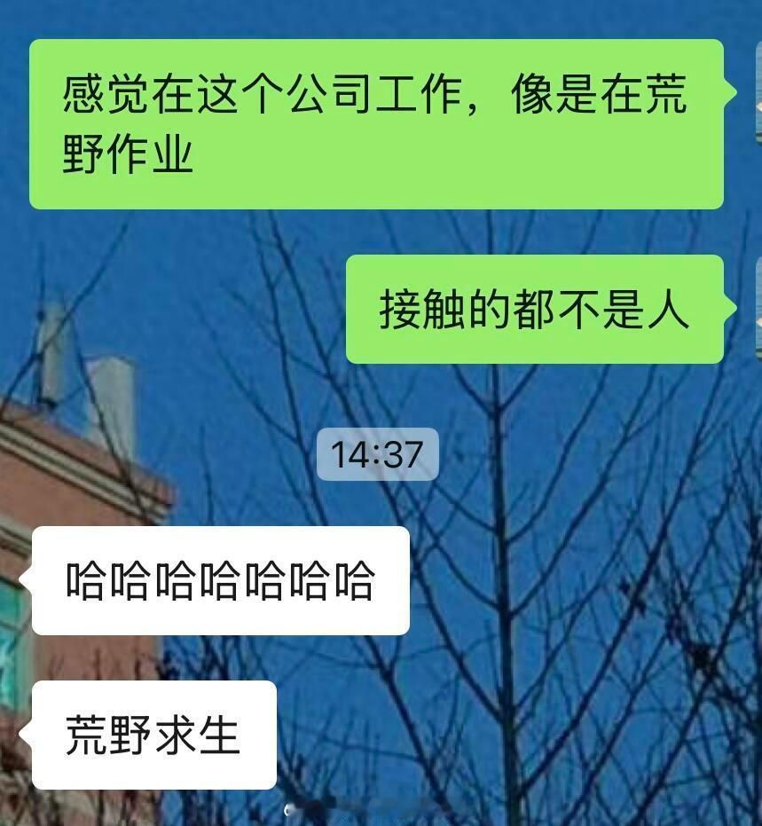 论工作能提升人的哪方面能力职场生存法则﻿​​​