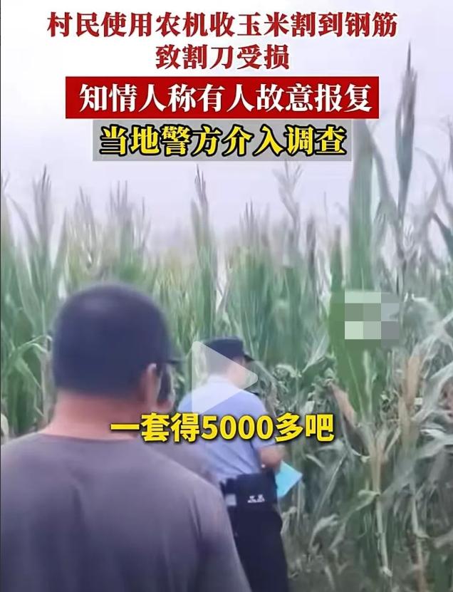 这事听着就让人火大。9月27号，河北邢台宁晋县徐家河乡榆树庄村。一个小伙子开着
