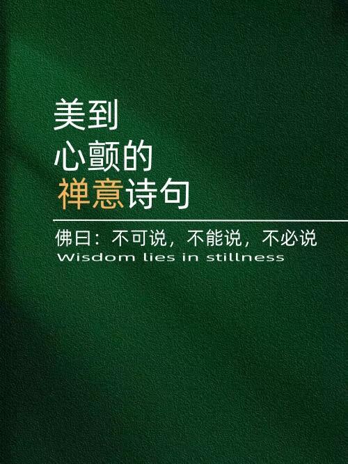 诗词中美到心颤的“禅意”诗句