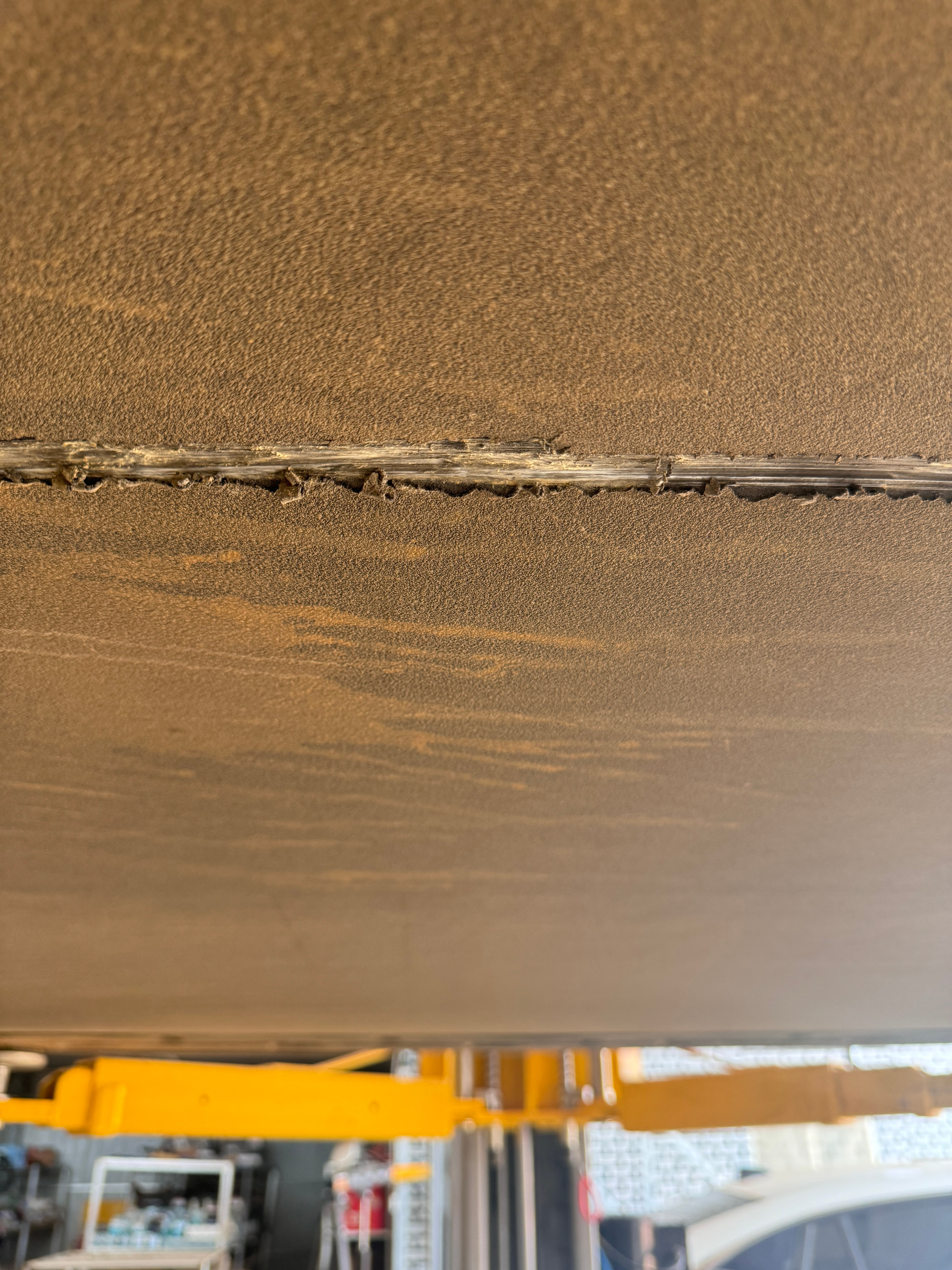 看见我的眼泪了吗