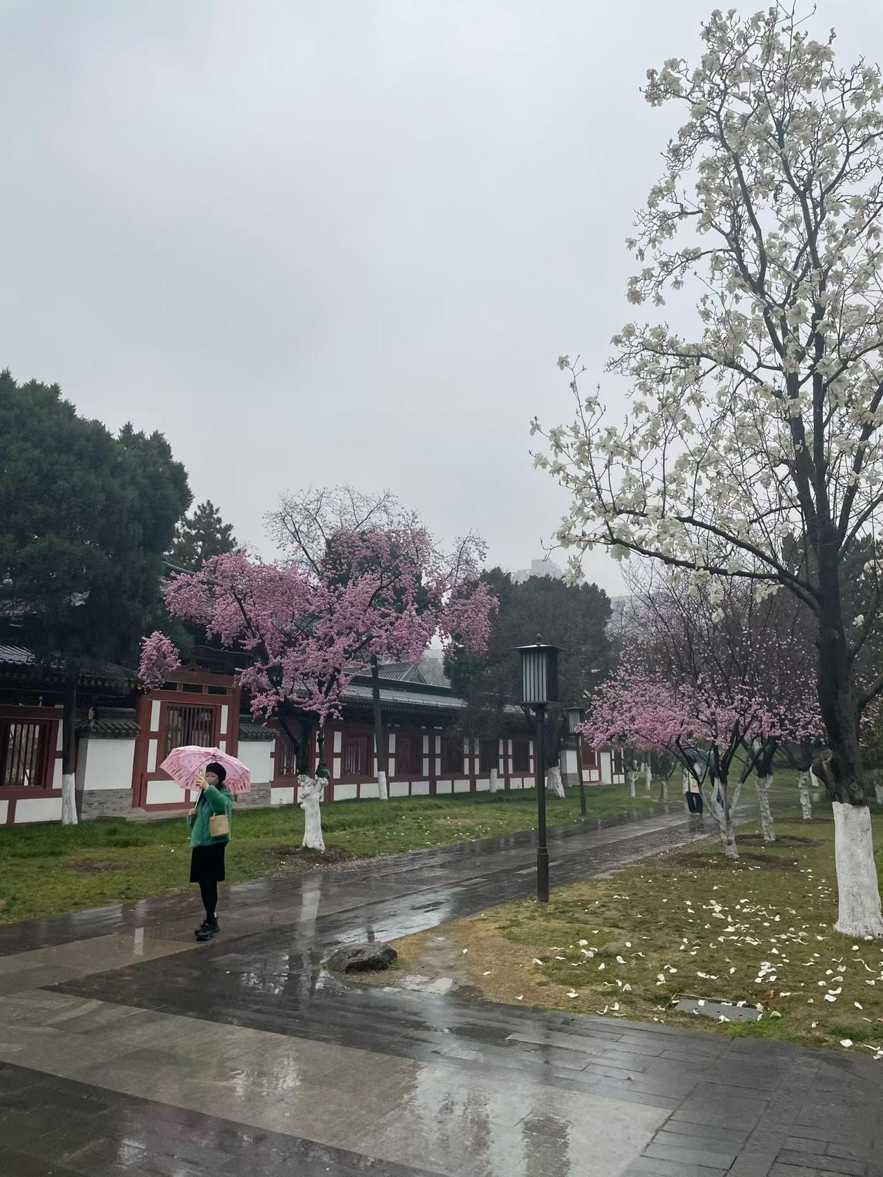 校长贪腐费用名目清单教学与招生类补课费、择校费、特长生培训费、研学组织费、分