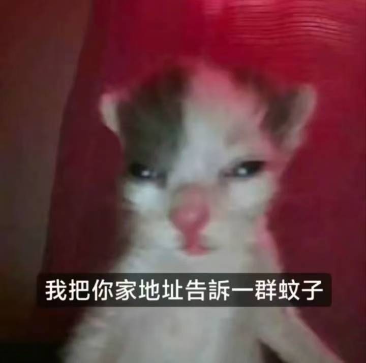 到了这个年纪，会在你耳边唱歌，喜欢你身体，还送你包的，只剩下蚊子了​​​