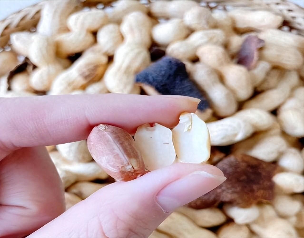 花生再次被关注！医生惊叹：常吃花生的人，身体或迎来这5个好处最近，花生再次成