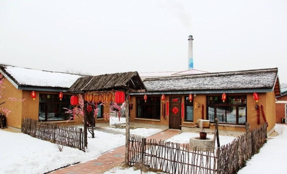 东北人皮实，说我们把饺子倒在桌子上，倒在炕上吃都成，说我们带着大金链子，一天三顿